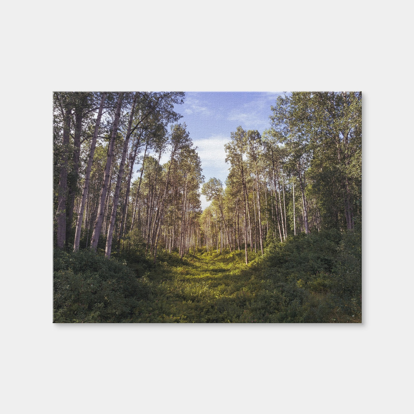 AUTO-MOCKUP WHITE | The Grove | 1 Piece | Gallery Wrap | group=4x3