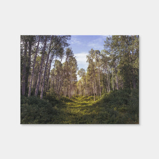 AUTO-MOCKUP WHITE | The Grove | 1 Piece | Gallery Wrap | group=4x3