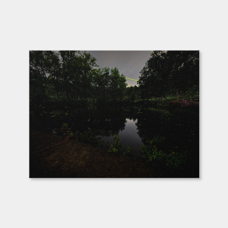 AUTO-MOCKUP WHITE | The Light Remembered | 1 Piece | Gallery Wrap | group=4x3