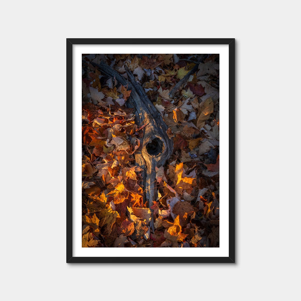 The Memory of Trees Wall Art — Framed Print Format preview