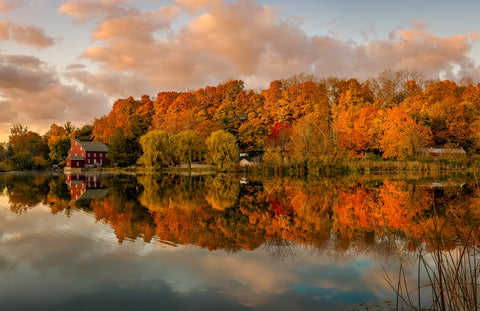 The O'l Red Mill Wall Art