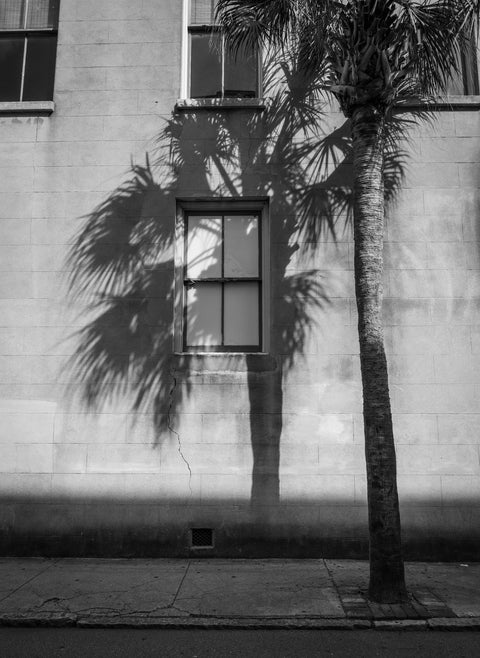 The Southern Window Wall Art
