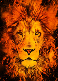 The lion Wall Art
