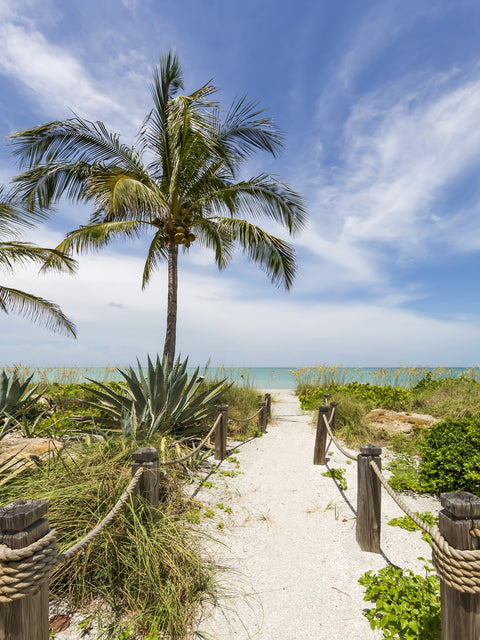 The sandy path to the beach Wall Art