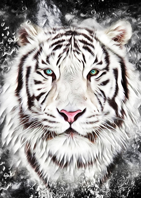 The tiger Wall Art