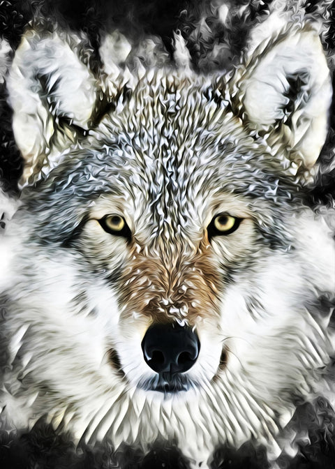 The wolf Wall Art
