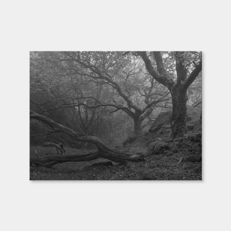 AUTO-MOCKUP WHITE | Thick Roots | 1 Piece | Gallery Wrap | group=4x3