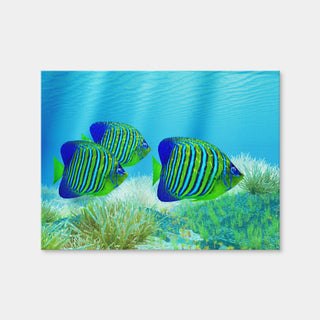 AUTO-MOCKUP WHITE | Three Regal Angelfish | 1 Piece | Gallery Wrap | group=4x3