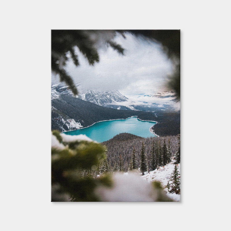 AUTO-MOCKUP WHITE | Through the Trees | 1 Piece | Gallery Wrap Canvas | group=3x4