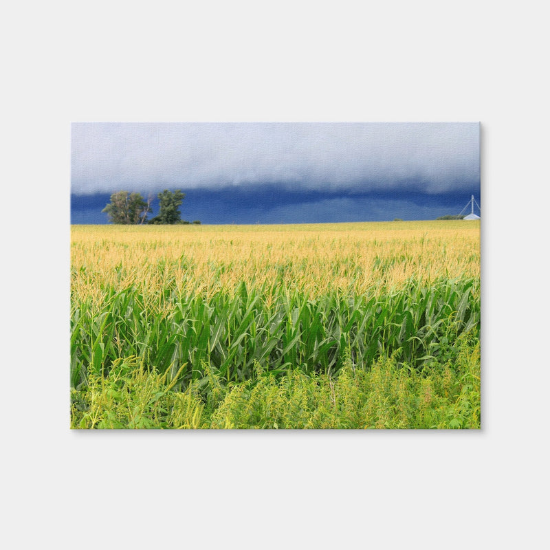 AUTO-MOCKUP WHITE | Thunderstorm Over Illinois Cornfield | 1 Piece | Gallery Wrap Canvas | group=4x3