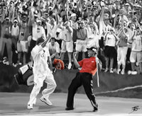 Tiger Celebration Wall Art