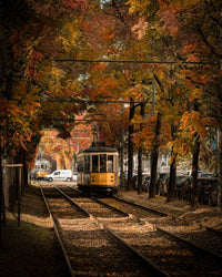 Tram in Autumn Wall Art