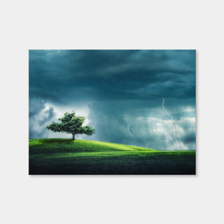 AUTO-MOCKUP WHITE | Tree Alone | 1 Piece | Gallery Wrap | group=4x3