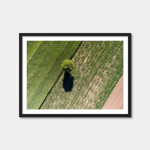 Tree Shadow Wall Art — Framed Print Format preview