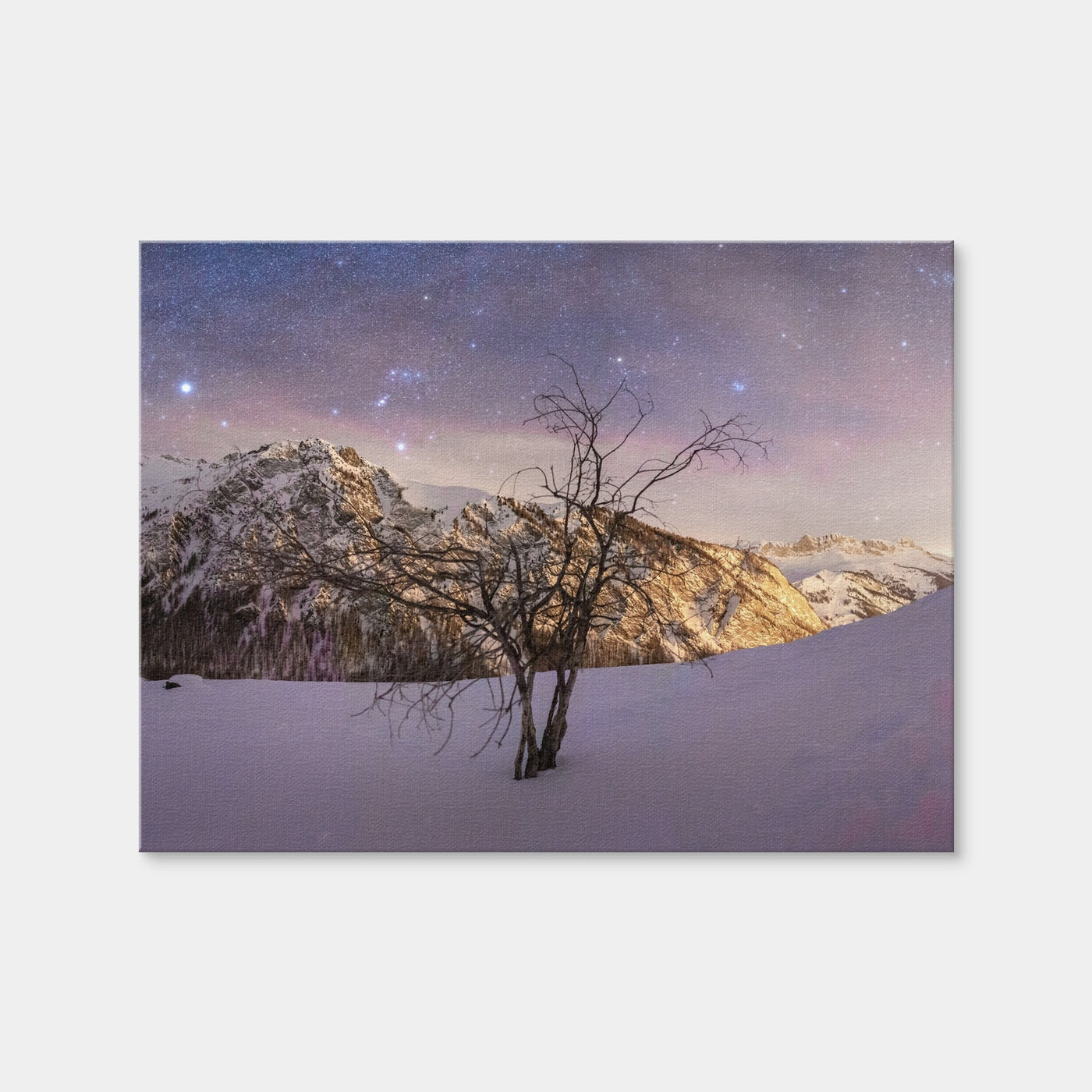 AUTO-MOCKUP WHITE | Tree of Hope | 1 Piece | Gallery Wrap | group=4x3