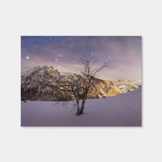 AUTO-MOCKUP WHITE | Tree of Hope | 1 Piece | Gallery Wrap | group=4x3