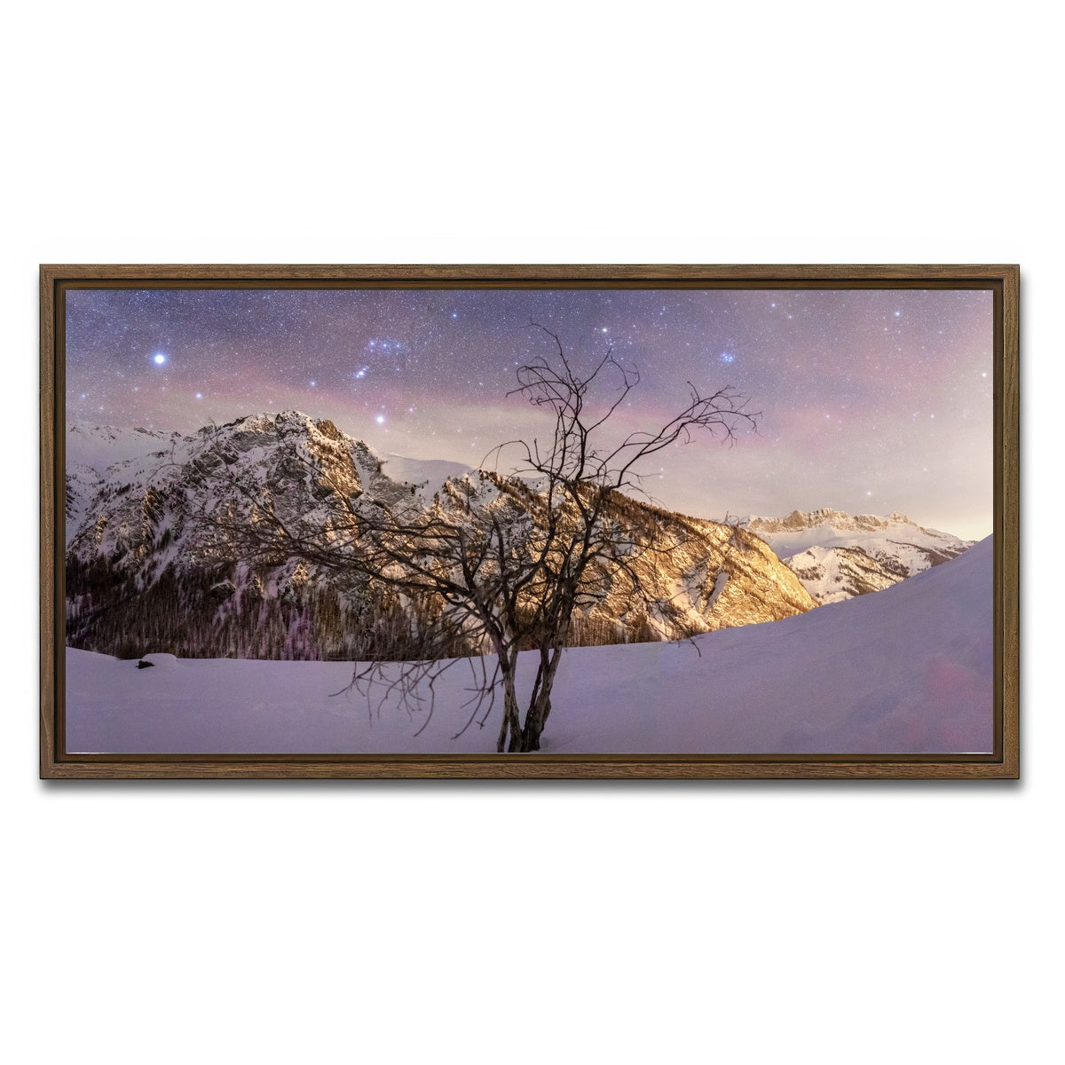 AUTO-MOCKUP WHITE | Tree of Hope | 1 Piece | Walnut Framed Canvas | group=2x1