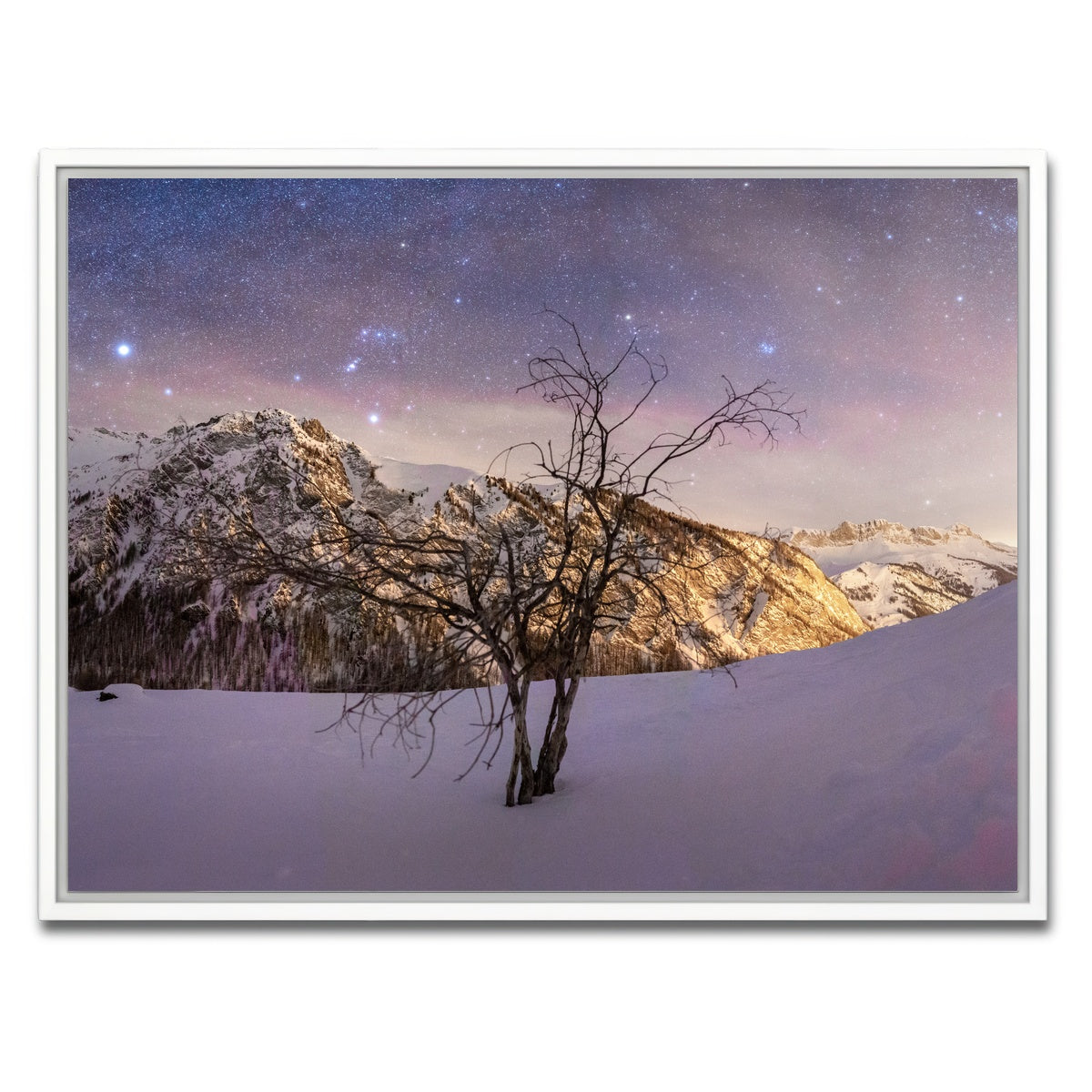 AUTO-MOCKUP WHITE | Tree of Hope | 1 Piece | White Framed Canvas | group=4x3