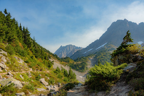 Treeline at Cascade Pass Wall Art