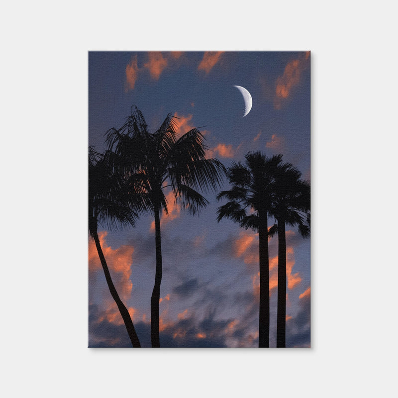 AUTO-MOCKUP WHITE | Tropical Night | 1 Piece | Gallery Wrap Canvas | group=3x4