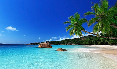 Tropical Paradise Wall Art