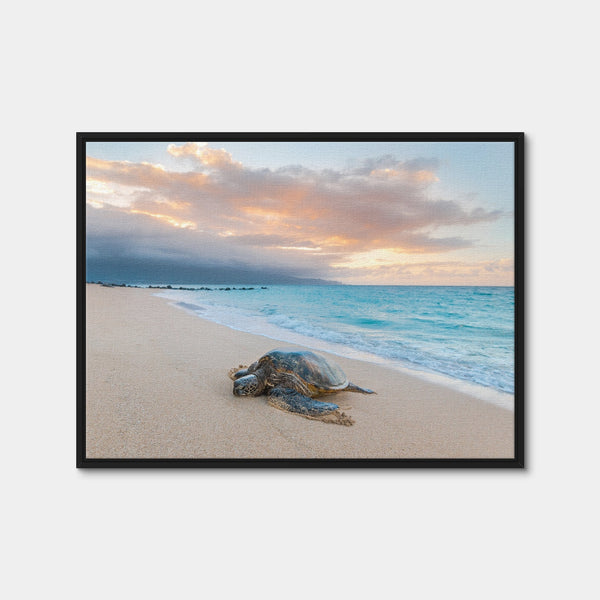 Turtle Sunset Wall Art — Framed Canvas Format preview