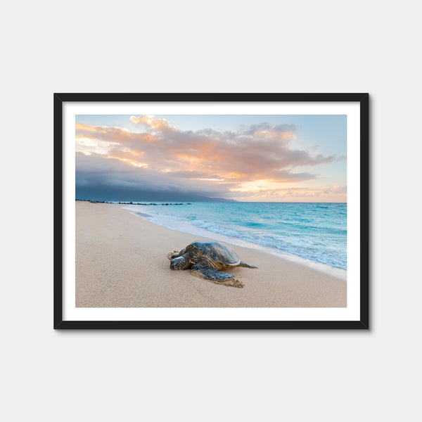 Turtle Sunset Wall Art — Framed Print Format preview