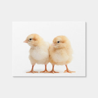 AUTO-MOCKUP WHITE | Two Baby Chickens | 1 Piece | Gallery Wrap Canvas | group=4x3