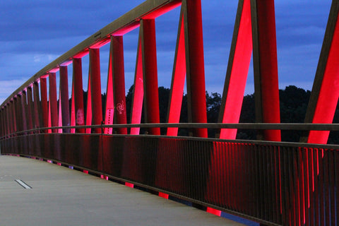 Two Rivers Park Bridge Wall Art