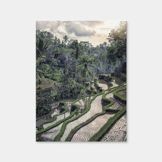 AUTO-MOCKUP WHITE | Ubud Countryside | 1 Piece | Gallery Wrap | group=3x4
