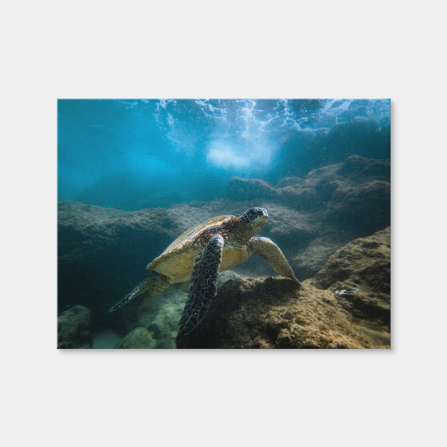 AUTO-MOCKUP WHITE | Under the Sea | 1 Piece | Gallery Wrap | group=4x3