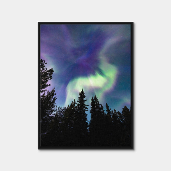 Up in the Sky Wall Art — Framed Canvas Format preview