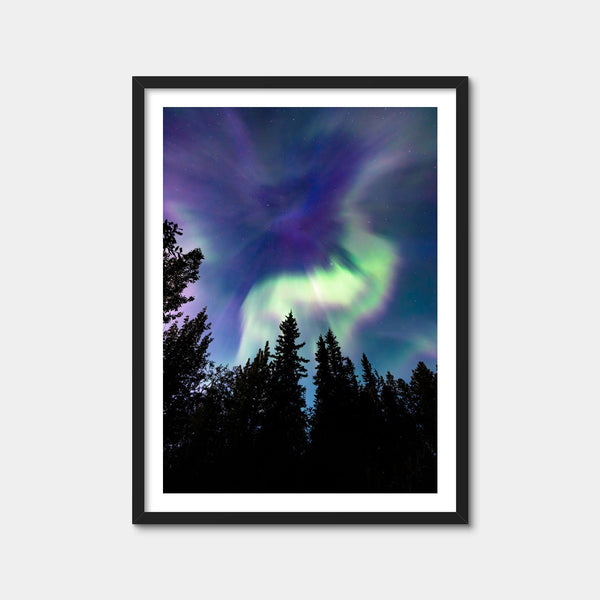 Up in the Sky Wall Art — Framed Print Format preview