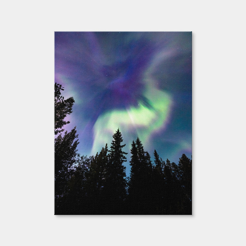 AUTO-MOCKUP WHITE | Up in the Sky | 1 Piece | Gallery Wrap | group=3x4