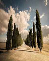 Val d'Orcia Wall Art