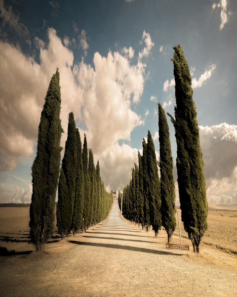 Val d'Orcia Wall Art