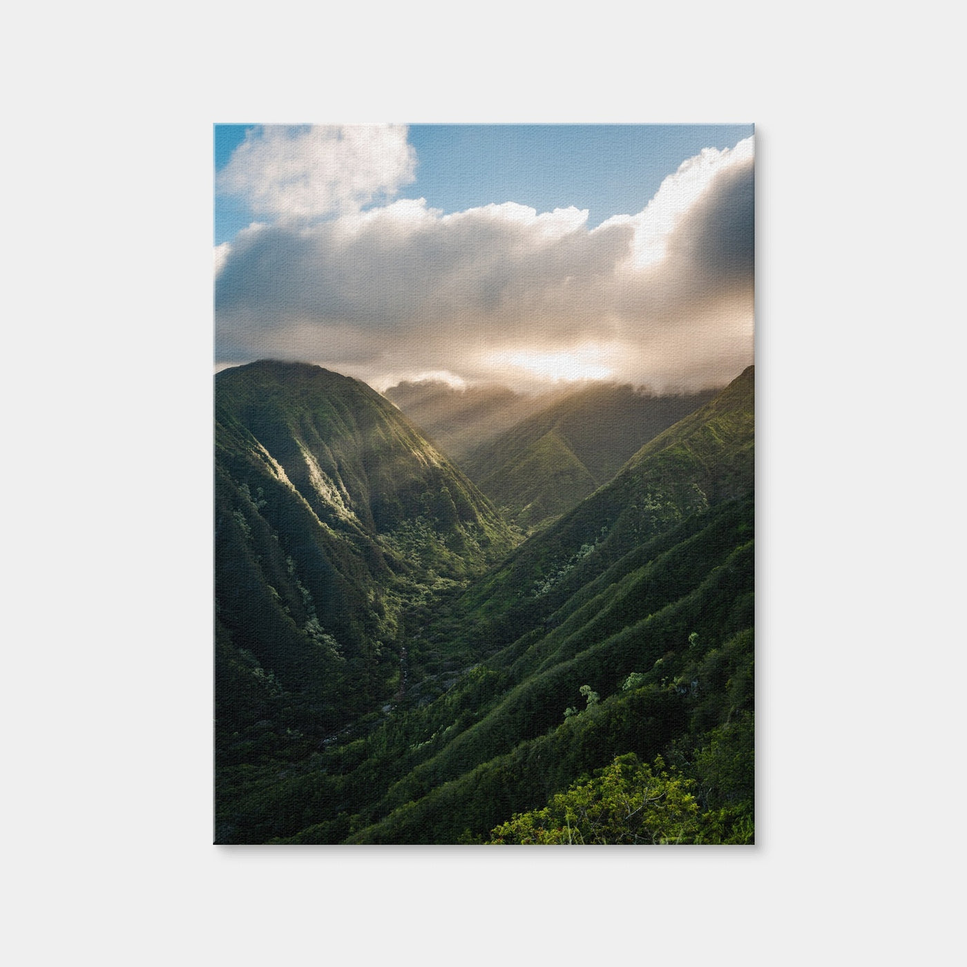 AUTO-MOCKUP WHITE | Valley of Light | 1 Piece | Gallery Wrap | group=3x4