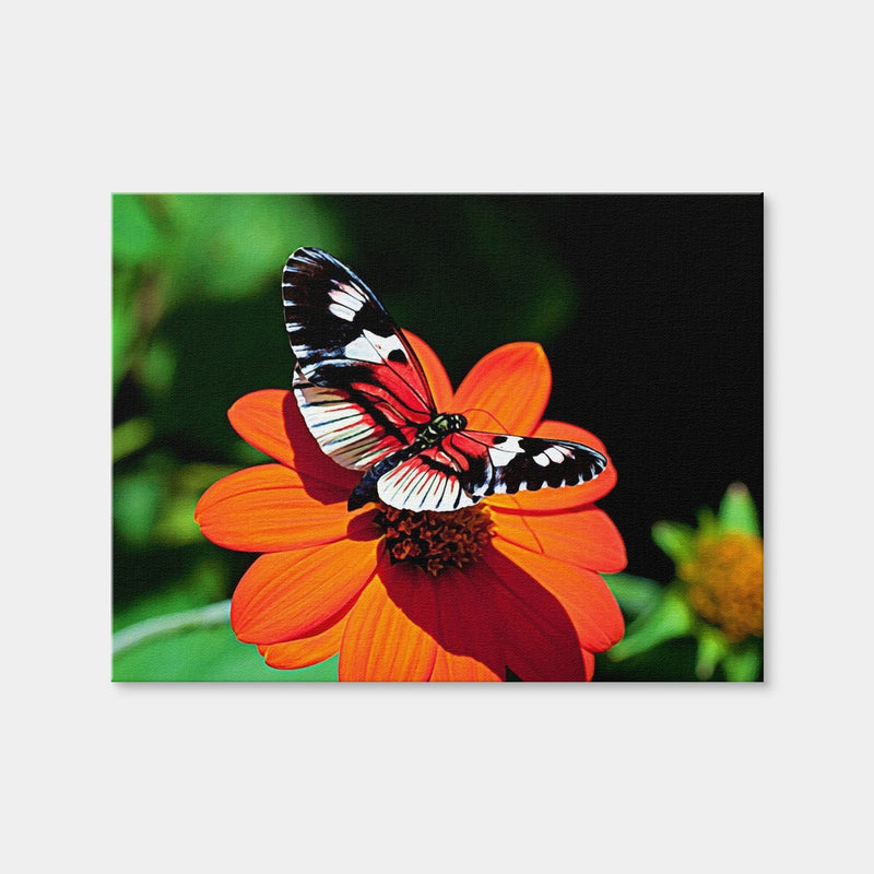 AUTO-MOCKUP WHITE | Vibrant Butterfly | 1 Piece | Gallery Wrap Canvas | group=4x3