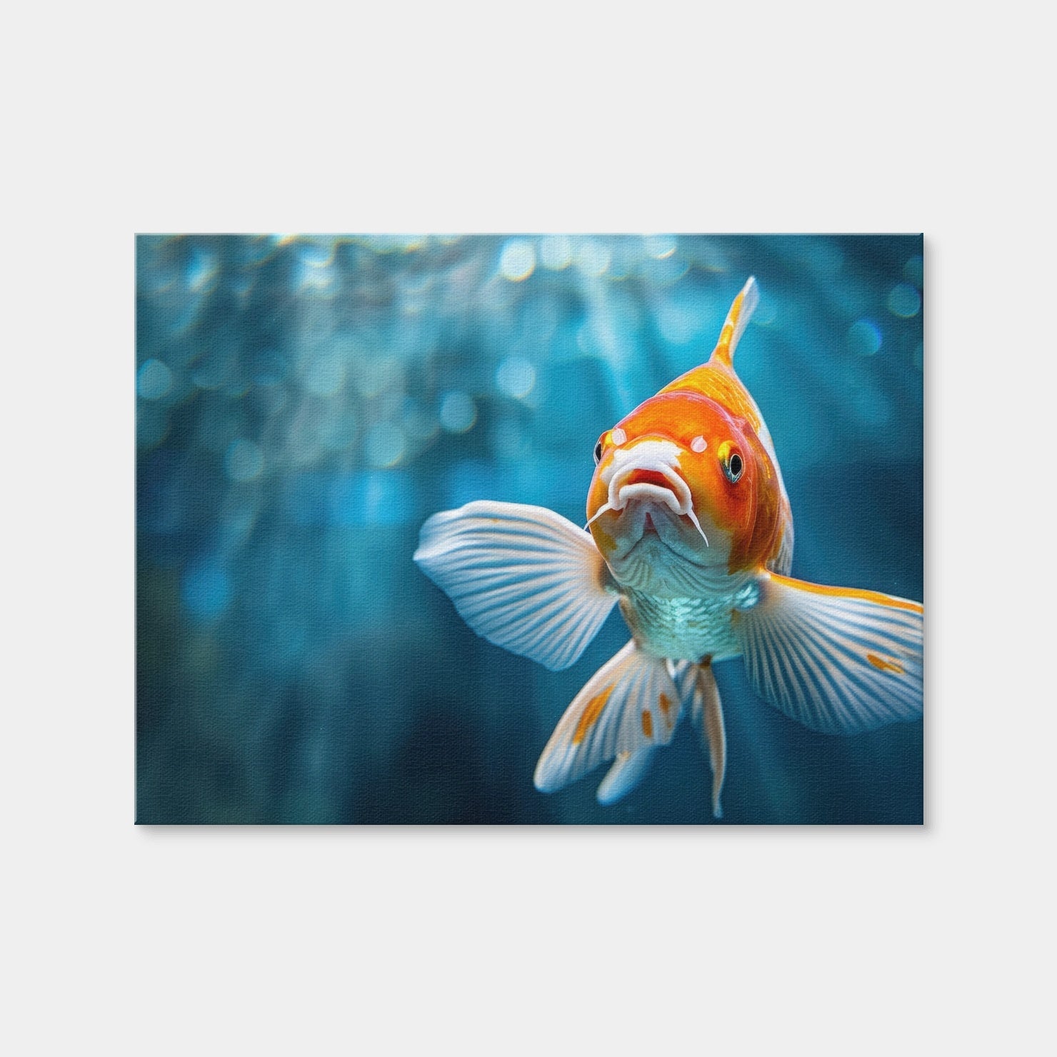 AUTO-MOCKUP WHITE | Vibrant Golden Koi | 1 Piece | Gallery Wrap | group=4x3