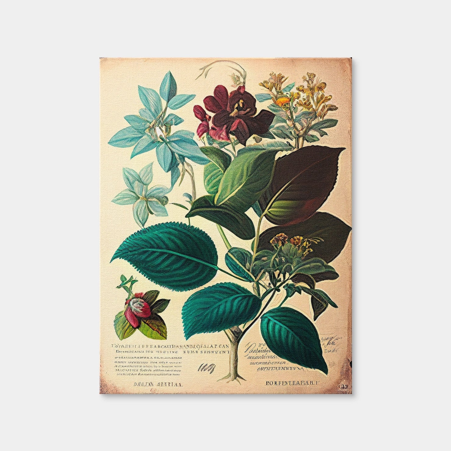 AUTO-MOCKUP WHITE | Vintage Botanical Print Series 1 | 1 Piece | Gallery Wrap Canvas | group=3x4