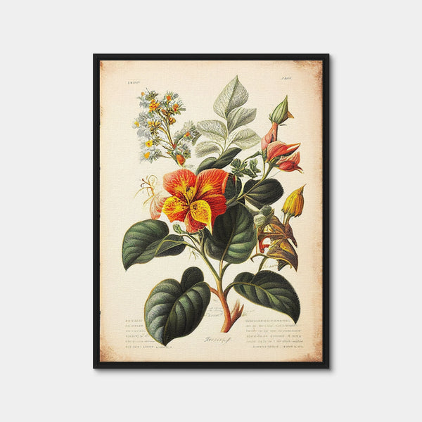 Vintage Botanical Print Series 2 Wall Art — Framed Canvas Format preview