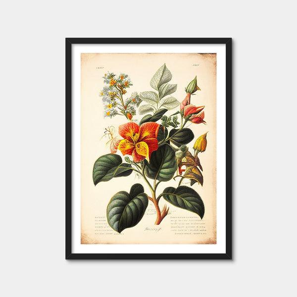Vintage Botanical Print Series 2 Wall Art — Framed Print Format preview