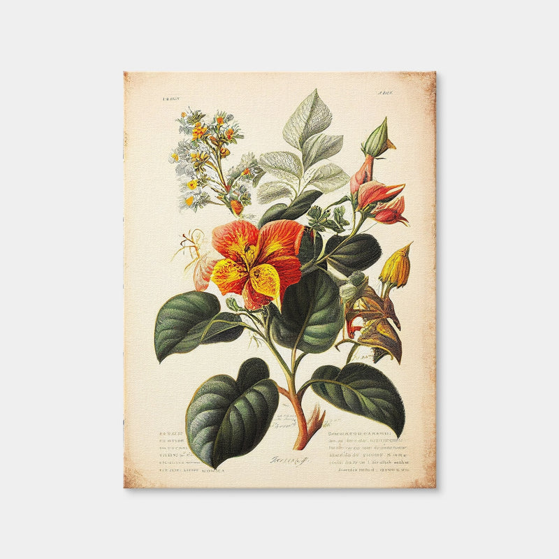 AUTO-MOCKUP WHITE | Vintage Botanical Print Series 2 | 1 Piece | Gallery Wrap | group=3x4