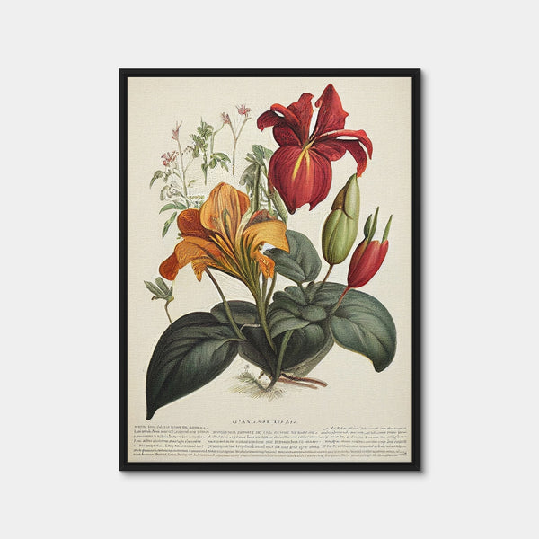 Vintage Botanical Print Series 4 Wall Art — Framed Canvas Format preview