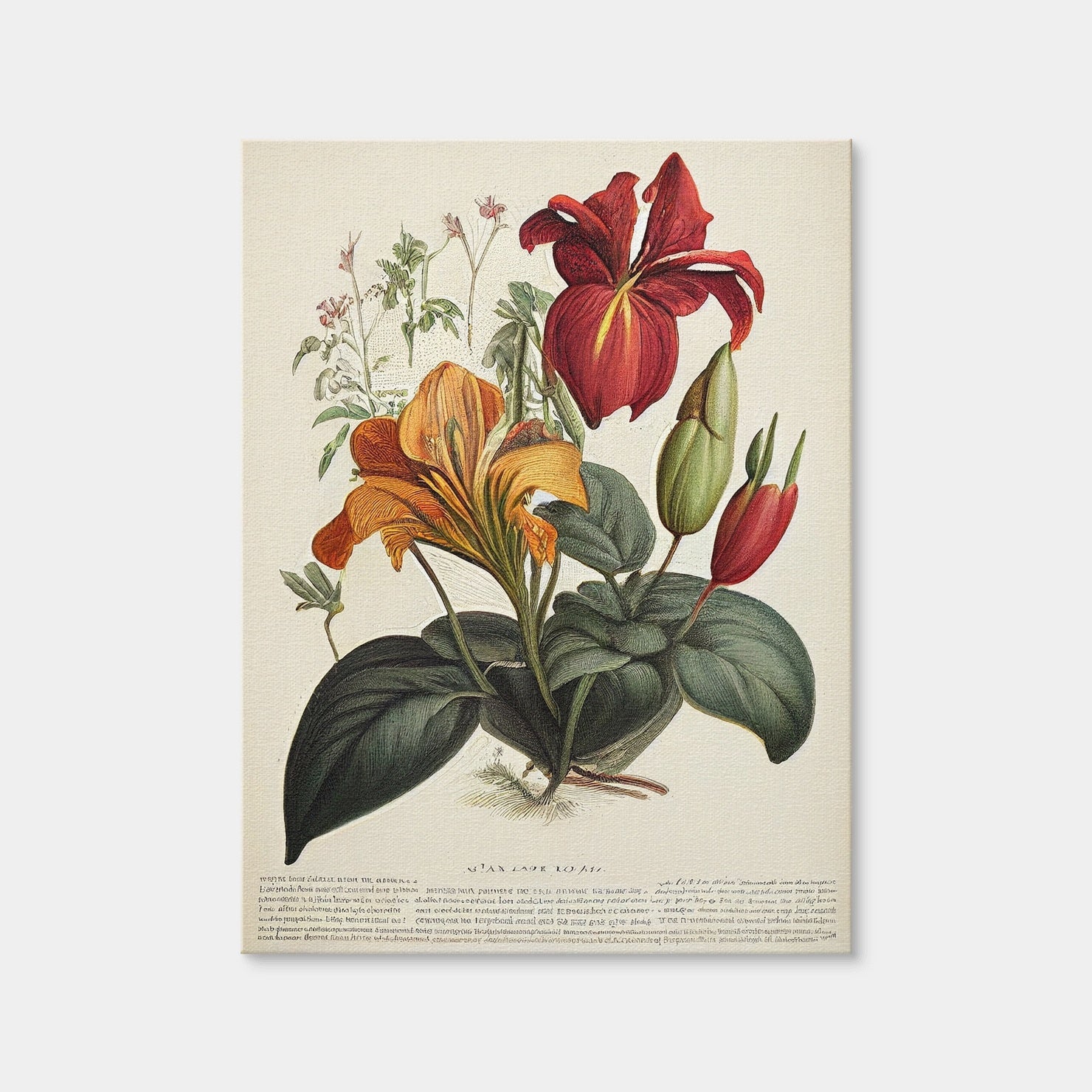 AUTO-MOCKUP WHITE | Vintage Botanical Print Series 4 | 1 Piece | Gallery Wrap | group=3x4