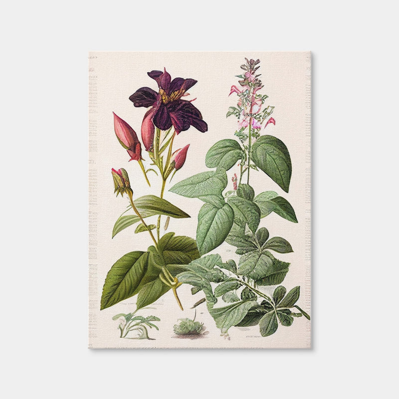 AUTO-MOCKUP WHITE | Vintage Botanical Print Series 5 | 1 Piece | Gallery Wrap | group=3x4