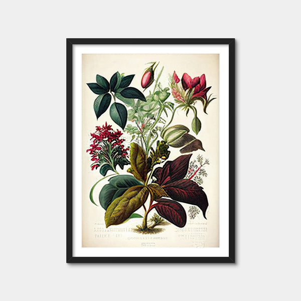 Vintage Botanical Print Series 8 Wall Art — Framed Print Format preview