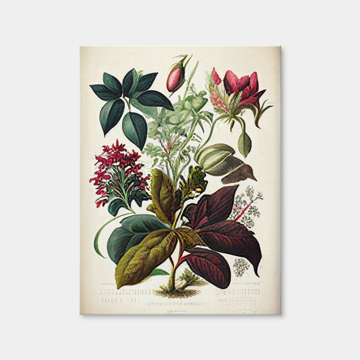 AUTO-MOCKUP WHITE | Vintage Botanical Print Series 8 | 1 Piece | Gallery Wrap Canvas | group=3x4