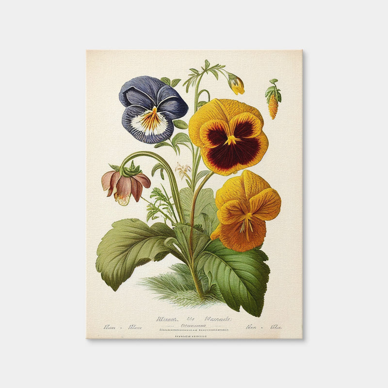 AUTO-MOCKUP WHITE | Vintage Botanical Print Series 9 | 1 Piece | Gallery Wrap | group=3x4