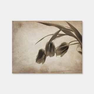 AUTO-MOCKUP WHITE | Vintage Flowers | 1 Piece | Gallery Wrap Canvas | group=4x3
